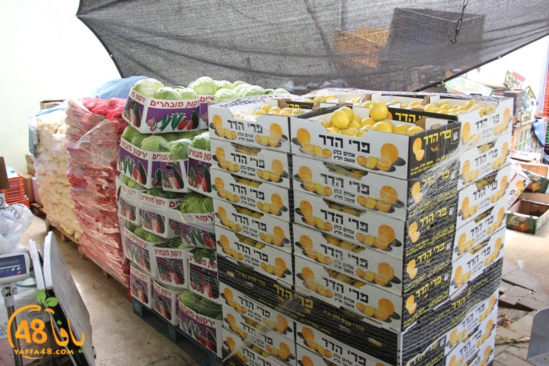 yaffa sooq jwjq (16).JPG